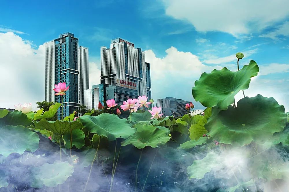 1616462411908872.jpeg 1616462411908872.jpeg